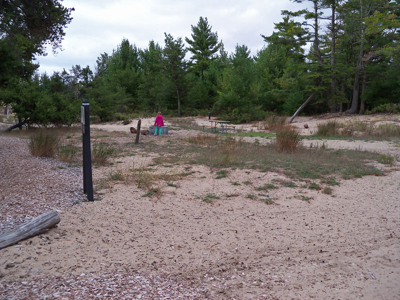 jack pine campground ludington state park